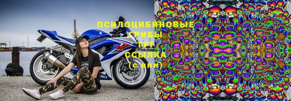 твердый Алексин