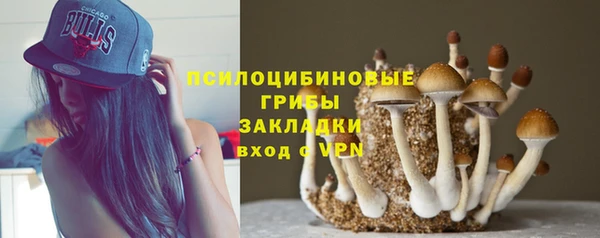 МДПВ Алзамай