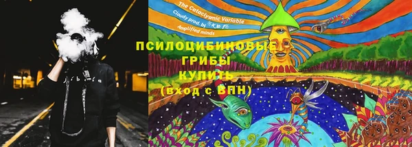 твердый Алексин